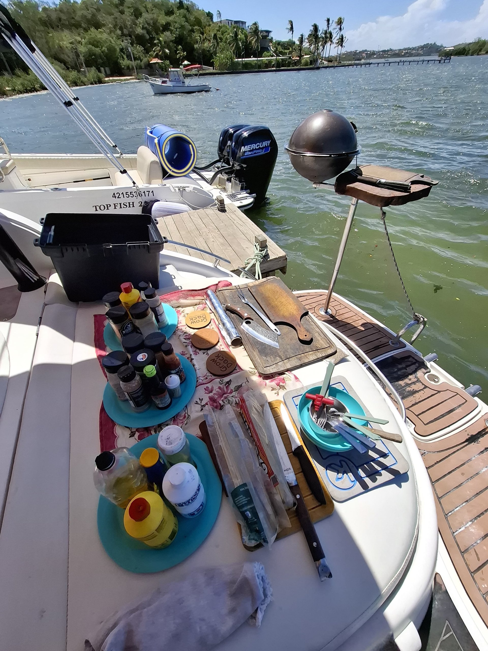 TECNOBOATS 30 PÉS ATE 12 PESSOAS